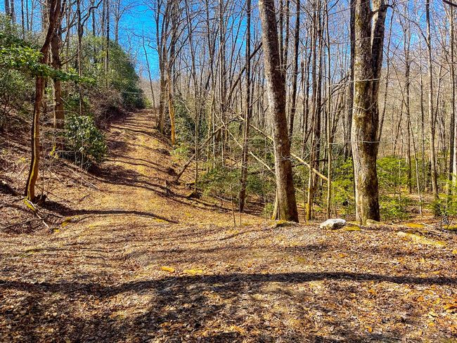3088 Little Choga Rd, House other with 1 bedrooms, 1 bathrooms and null parking in Topton NC | Image 24