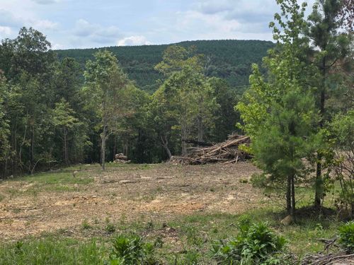 Lot 9 Scenic Vw, Edgemont, AR, 72044 | Card Image