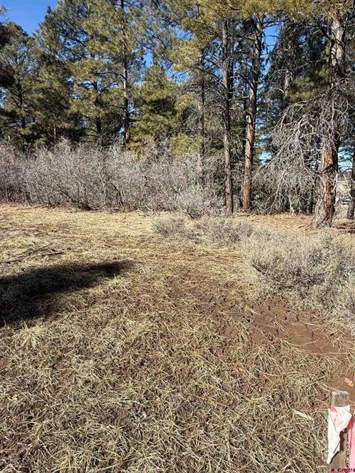 777 Monument Avenue, Pagosa Springs, CO, 81147 | Card Image