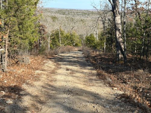000 Flowstone Ln, Gainesville, MO, 65655 | Card Image
