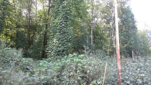 1 Snake Hollow Rd, Sneedville, TN, 37869 | Card Image