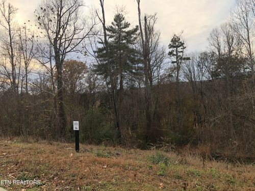 lot-36-122 Black Oak Dr, Oak Ridge, TN, 37830 | Card Image