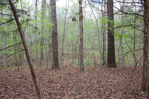 2787 Bryan Rd, Michigan City, MS, 38647 | Card Image