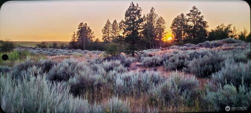 0 S Harrison St, Spokane, WA, 99224 | Card Image