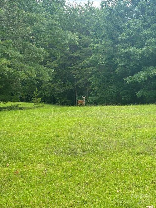 28 Fallen Tree Ln, Mill Spring, NC, 28756 | Card Image