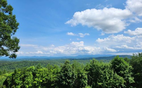 30 Lookout Dr, Blue Ridge, GA, 30513-6220 | Card Image