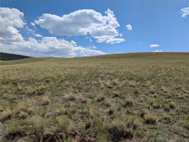 0 Wicaka Trail, Home with 0 bedrooms, 0 bathrooms and null parking in Hartsel CO | Image 12