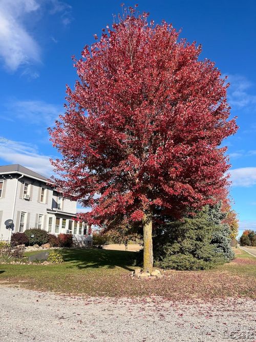 4308 W Mulberry Rd, Morenci, MI, 49256-9515 | Card Image