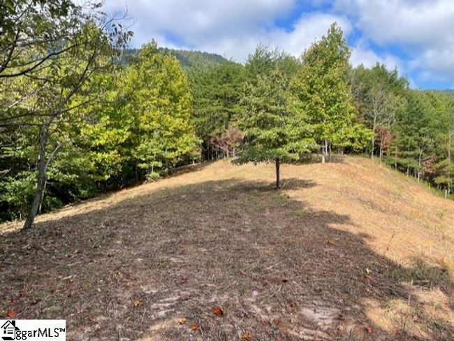 00 Birkdale Dr, House other with 4 bedrooms, 5 bathrooms and 2 parking in Mill Spring NC | Image 6