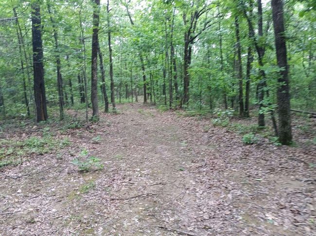 409 Russell Mountain Rd, Home with 0 bedrooms, 0 bathrooms and null parking in Bald Knob AR | Image 9