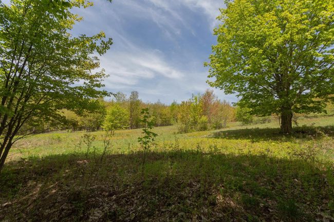 14 - 1214 Armstrong Rd, House other with 7 bedrooms, 4 bathrooms and null parking in Arkville NY | Image 6