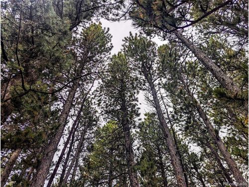 3190 Zipf Ln, Fort Garland, CO, 81133 | Card Image