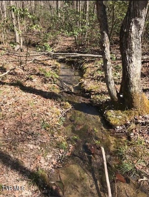 897 Parkstown Road, Wilder, TN, 38589 | Card Image