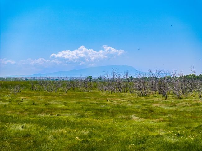 1 Sparkling Moolah, Home with 0 bedrooms, 0 bathrooms and null parking in Pena Blanca NM | Image 11
