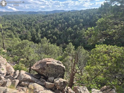 1539 Old Crow Path, Canon City, CO, 81212 | Card Image