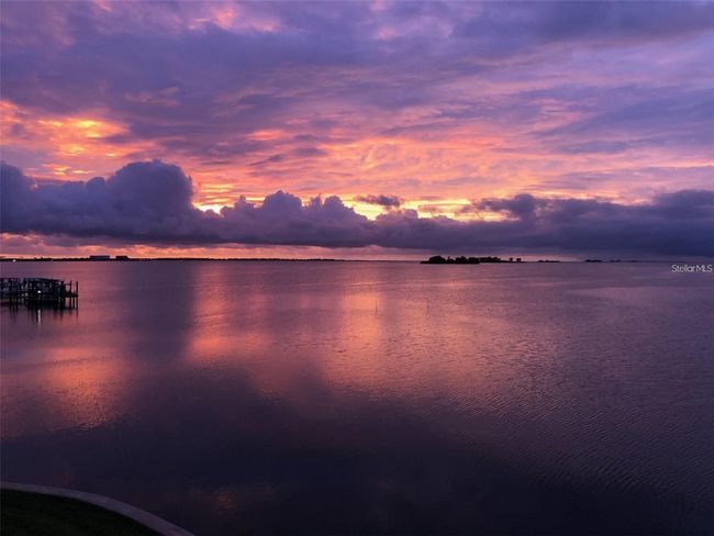 APT-103 - 845 Maple Ct, Condo with 2 bedrooms, 1 bathrooms and null parking in DUNEDIN FL | Image 33
