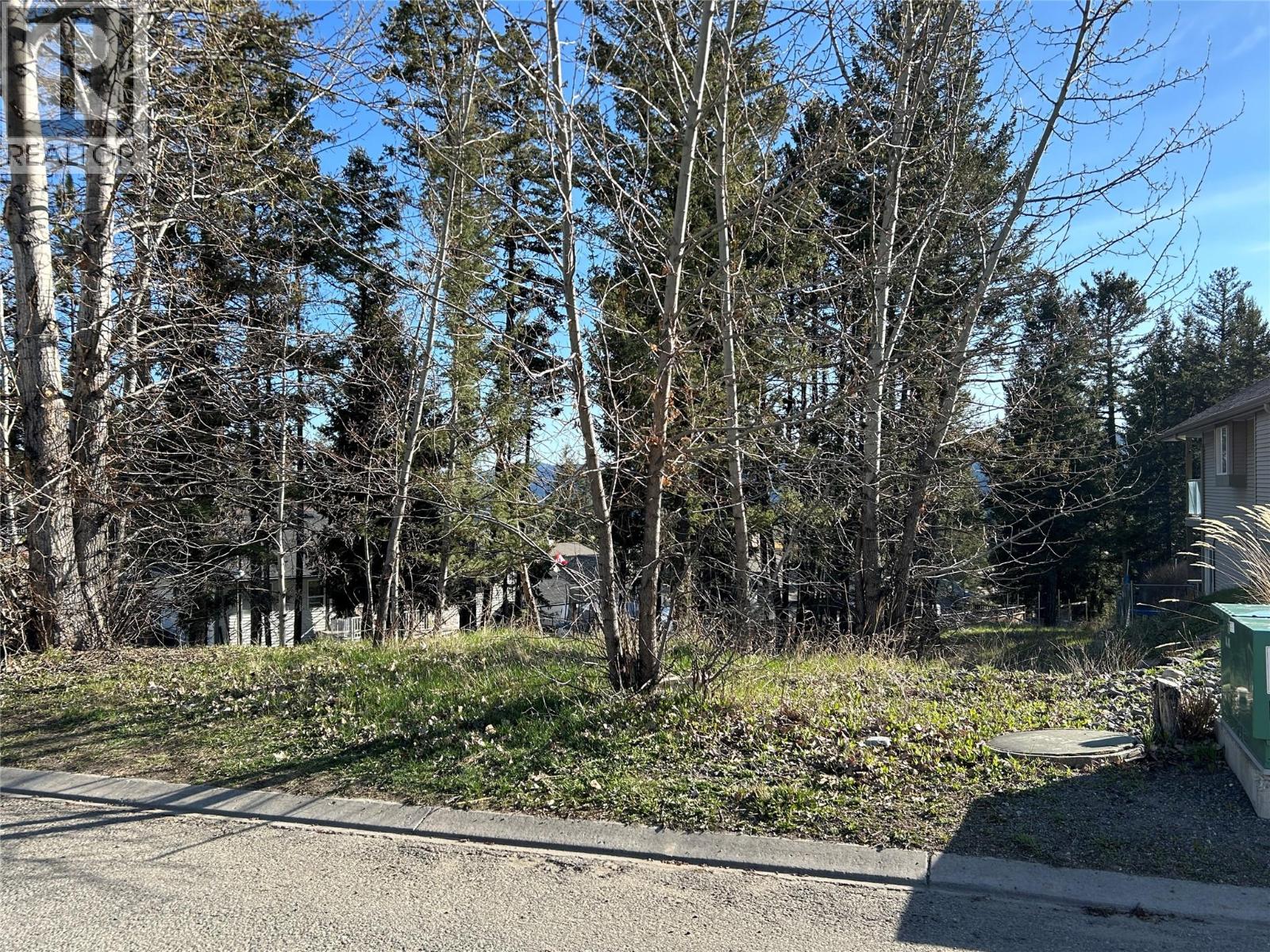 Land in Logan Lake 2