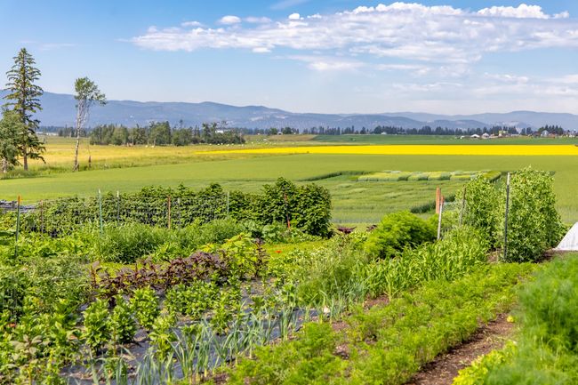 100 Riverside Rd, House other with 4 bedrooms, 3 bathrooms and null parking in Kalispell MT | Image 71