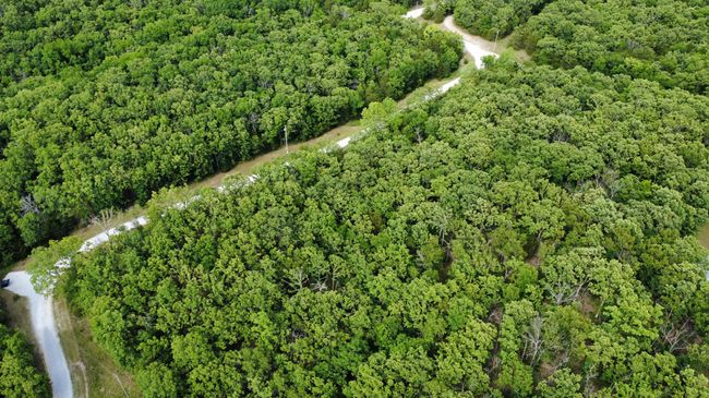 dji_fly_20250521_160950_178_174786180657 | Image 8