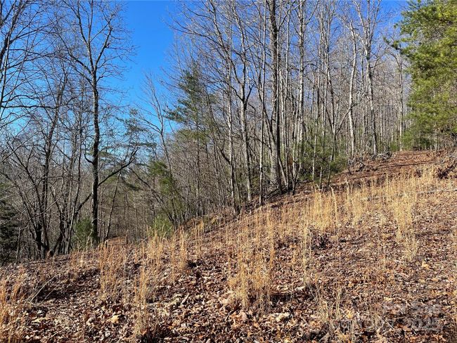 0000 Pine Log Rd, Home with 0 bedrooms, 0 bathrooms and null parking in Warne NC | Image 22