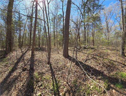 0000 Cane Branch Rd, Western Grove, AR, 72685 | Card Image