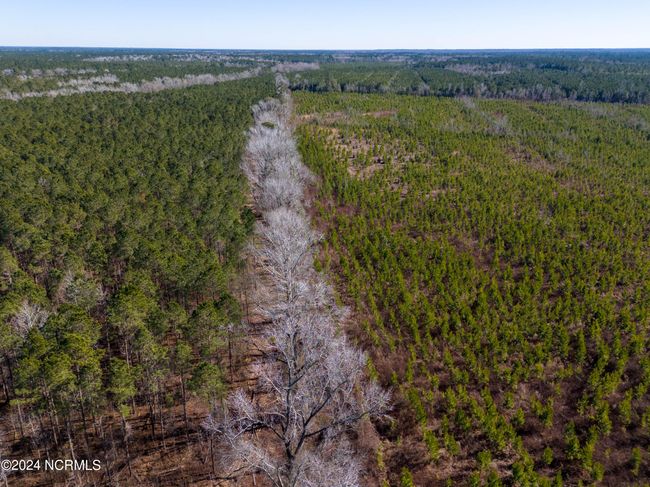 00 Sykes Town Rd, Home with 0 bedrooms, 0 bathrooms and null parking in Currie NC | Image 9