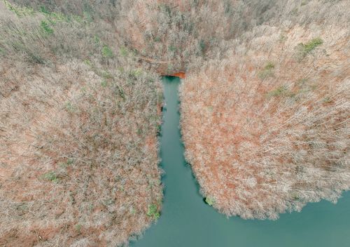 3909 Hodge Hollow Rd, Pulaski, VA, 24301-7529 | Card Image