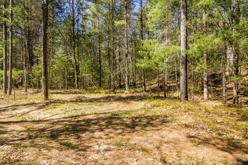 0 VL Birchcrest, Bear Lake Township, MI, 49646 | Card Image