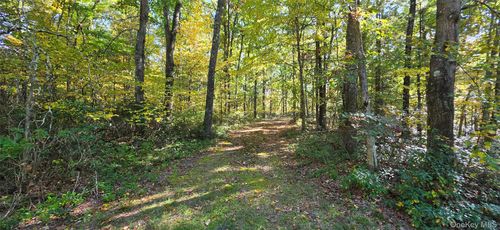 Lot #86 Perry Pond Road, Tusten, NY, 12764 | Card Image