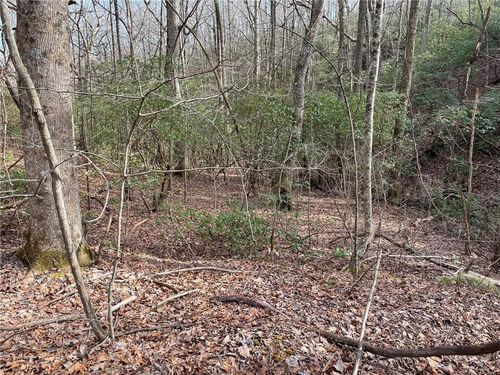 LOT 9F Renate Dr, Jasper, GA, 30143 | Card Image