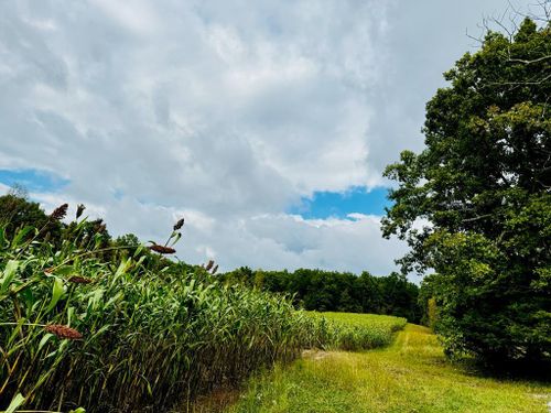 68 Acres Muddy Pond Rd, Monterey, TN, 38574 | Card Image