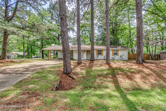 204 Turtle Creek-4 | Image 4