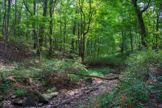 1000 N County Road 825 W, Home with 0 bedrooms, 0 bathrooms and null parking in Medora IN | Image 9