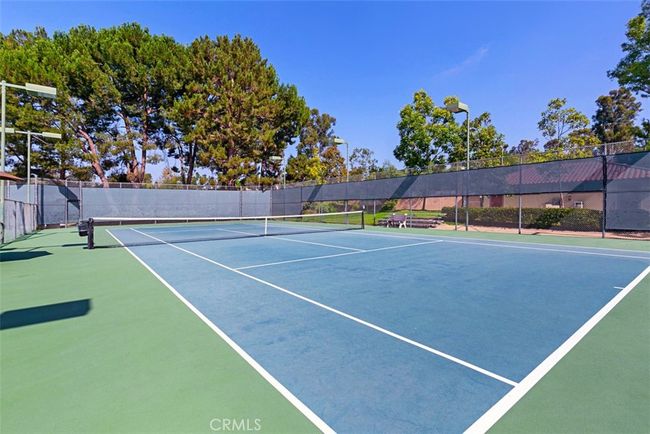 Tennis anyone | Image 31