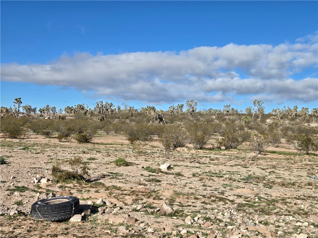 Land in Dolan Springs