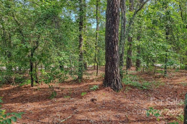 1915 Koon Road, Home with 0 bedrooms, 0 bathrooms and null parking in Lugoff SC | Image 17