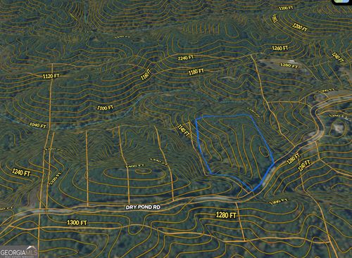 lot-2-west-2 WEST Dry Pond Rd, Ranger, GA, 30734 | Card Image