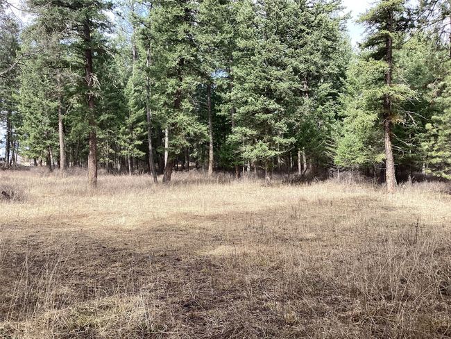 1 Eagle Pass Road, Home with 0 bedrooms, 0 bathrooms and null parking in Charlo MT | Image 29