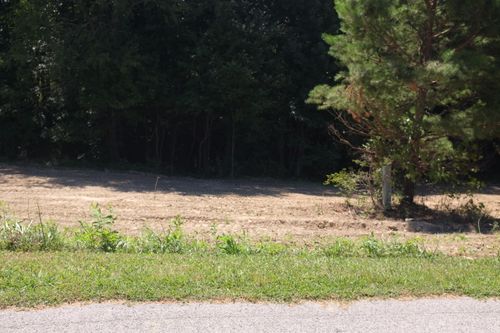 55 Green Cove Dr, London, KY, 40741-7948 | Card Image