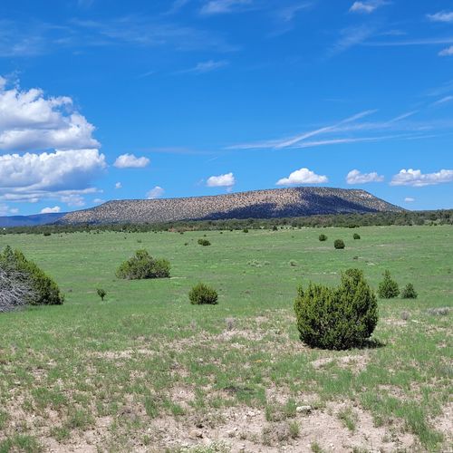 17-18-1 Frontier Trail Lots 17 And 18, Datil, NM, 87821 | Card Image