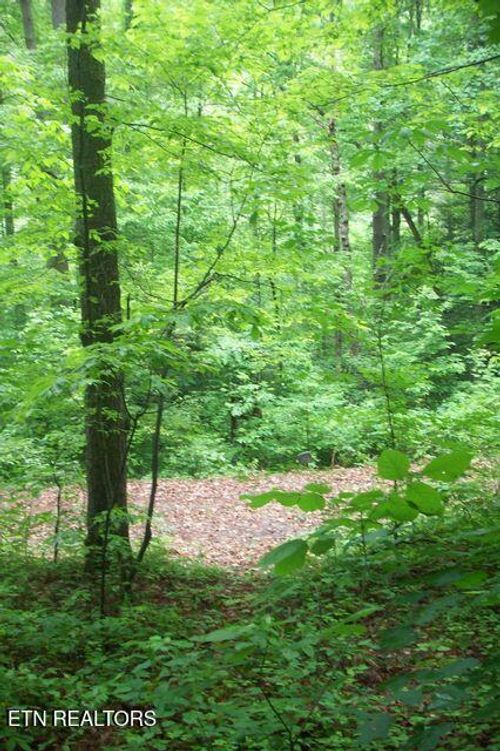 483 Chetola Trl, Townsend, TN, 37882-3037 | Card Image