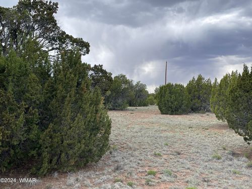 35 Wood Ln, Concho, AZ, 85924 | Card Image