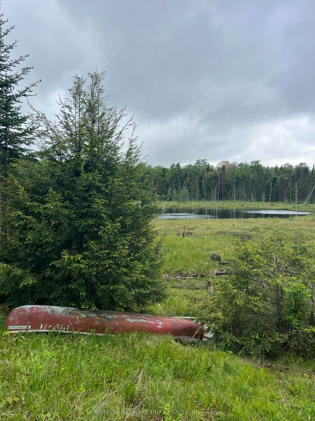 0 Chapman Strong Rd, Home with 0 bedrooms, 0 bathrooms and 8 parking in Sundridge ON | Image 20