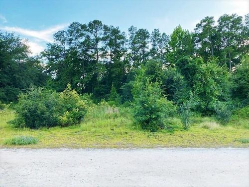 Lot 1 Ivanhoe Pl., Dillon, SC, 29536 | Card Image