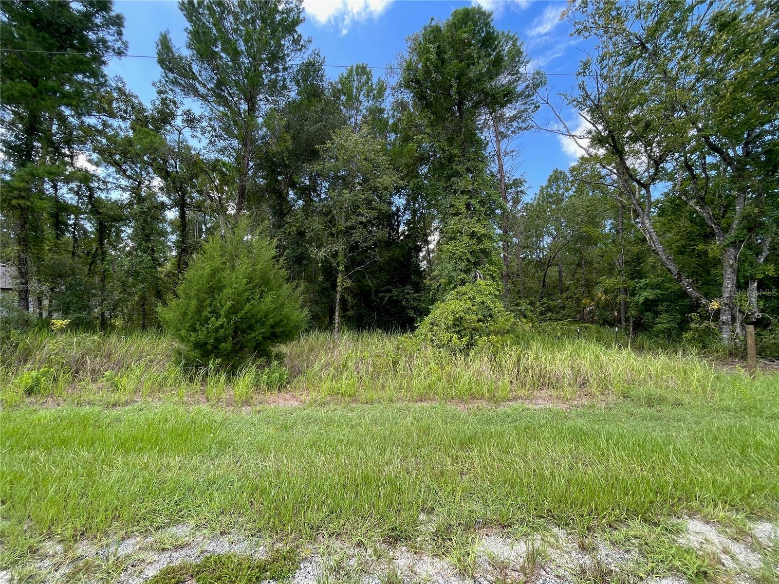 Land in WEEKI WACHEE