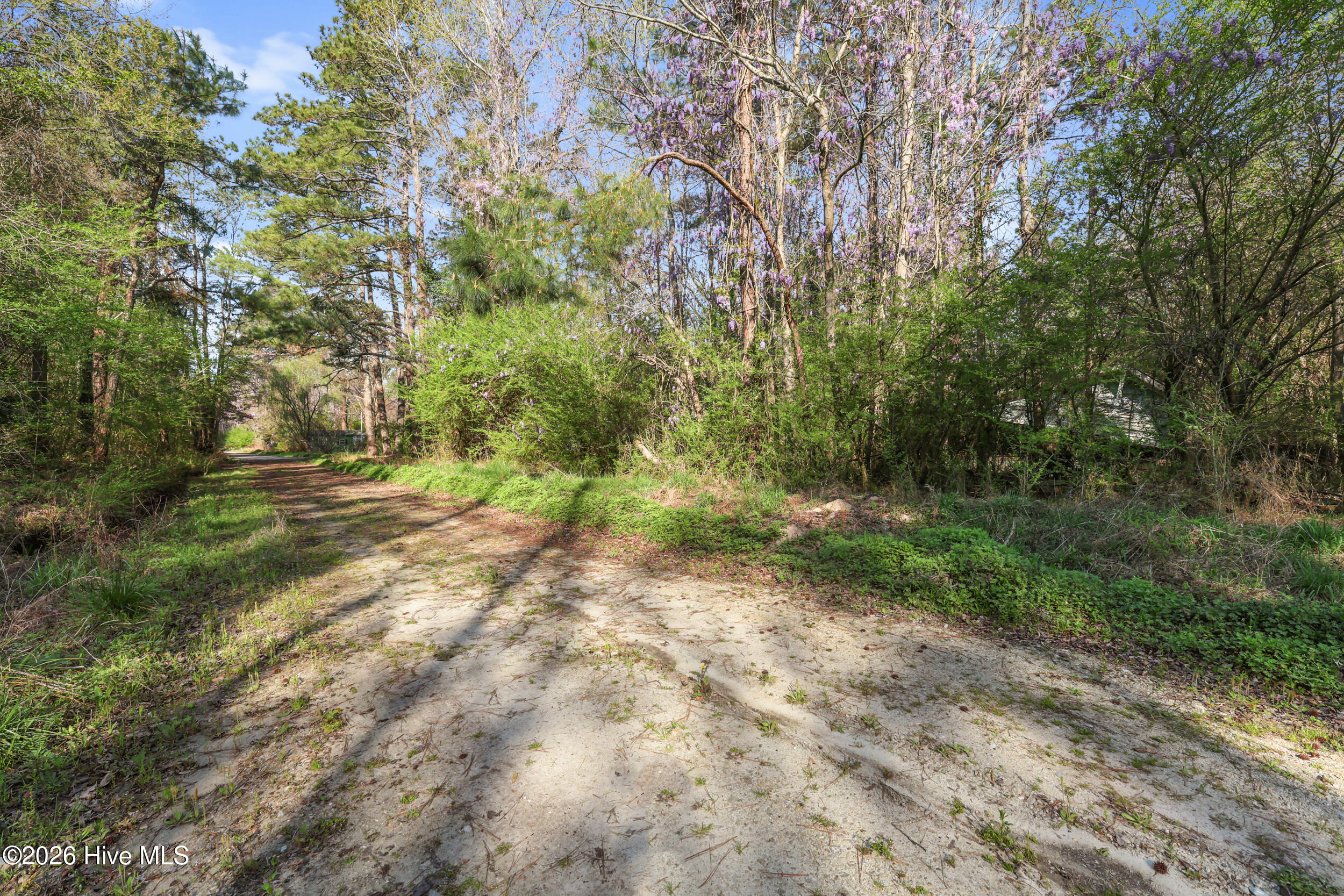 Land in Burgaw 3