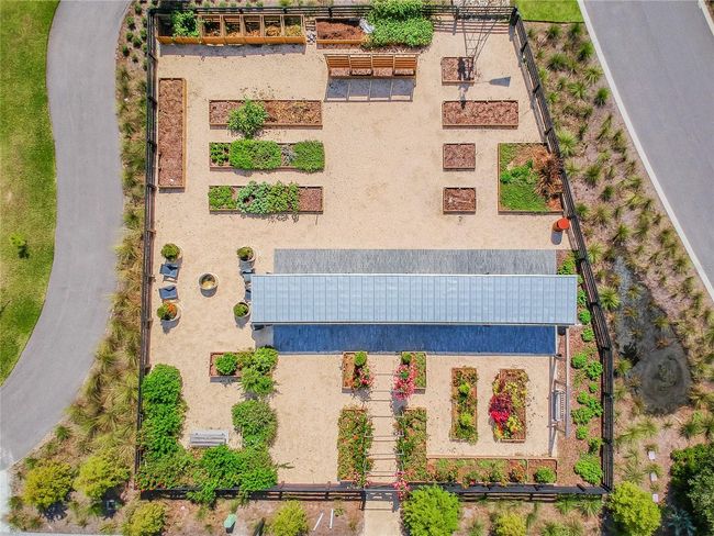 Starkey Garden | Image 78