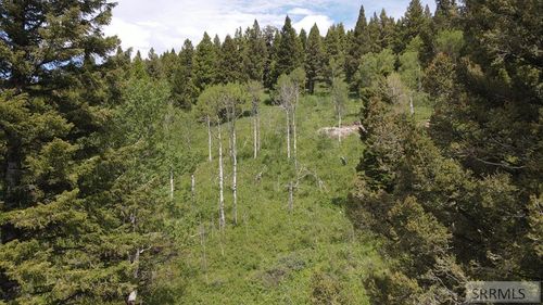 4907 Shadow Wood Ln, Island Park, ID, 83429 | Card Image