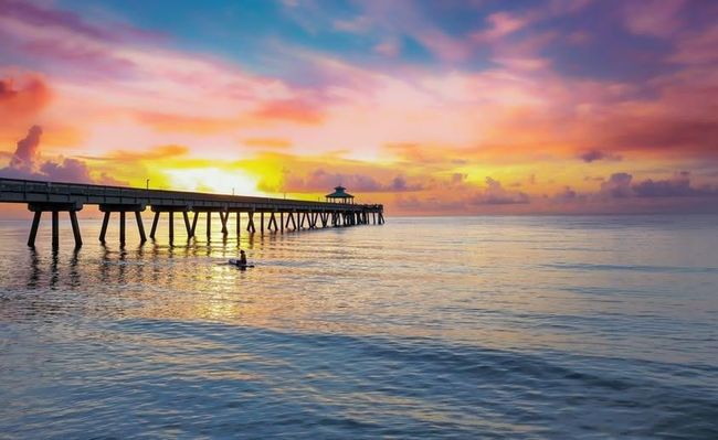 Live in Paradise | Image 46