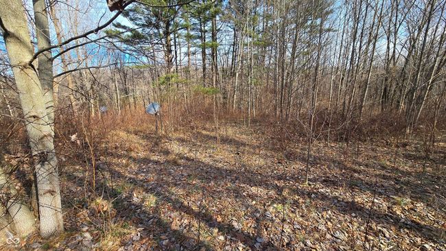 9885 W County Road 75 S, Home with 0 bedrooms, 0 bathrooms and null parking in Medora IN | Image 8